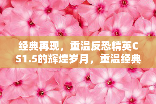 重温反恐精英CS1图片