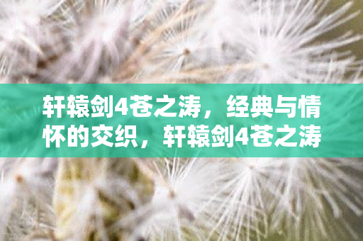 经典与情怀的完美交织图片