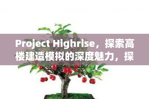 Project Highrise图片