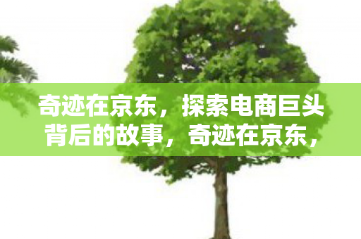 探索电商巨头背后的故事图片
