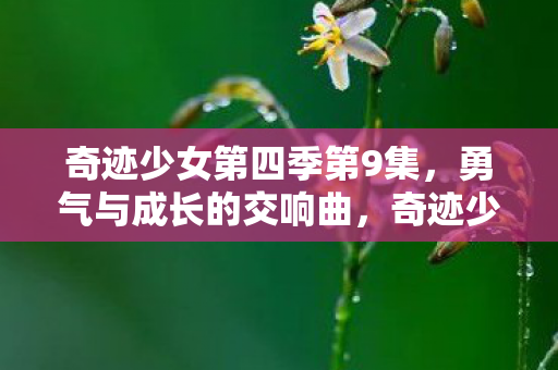 奇迹少女第四季第9集图片