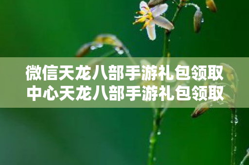 微信天龙八部手游礼包领取中心天龙八部手游礼包领取大全微信版图片