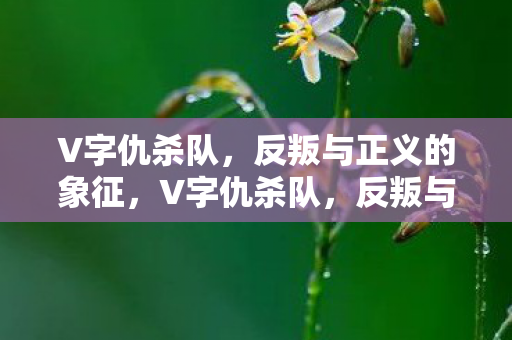 反叛与正义的象征图片