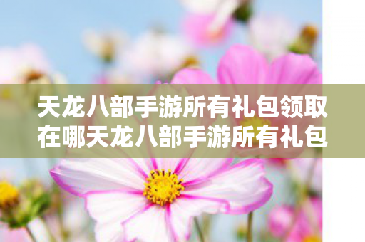 天龙八部手游所有礼包领取在哪天龙八部手游所有礼包领取全攻略图片