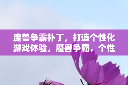 个性化游戏体验的补丁打造图片