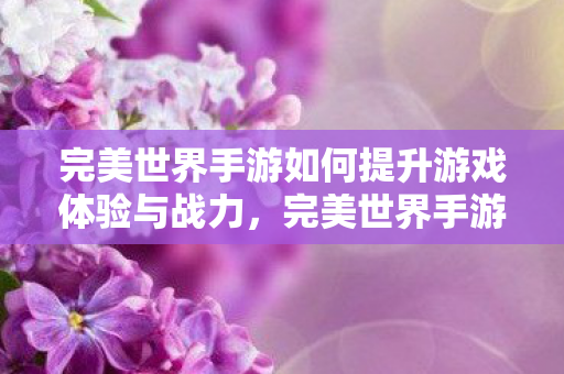 完美世界手游提升游戏体验与战力全攻略图片