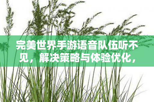 解决完美世界手游语音队伍听不见问题图片