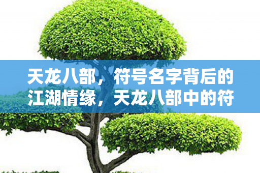 符号名字背后的江湖情缘图片