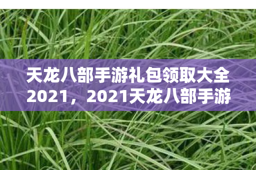 天龙八部手游礼包领取大全2021图片