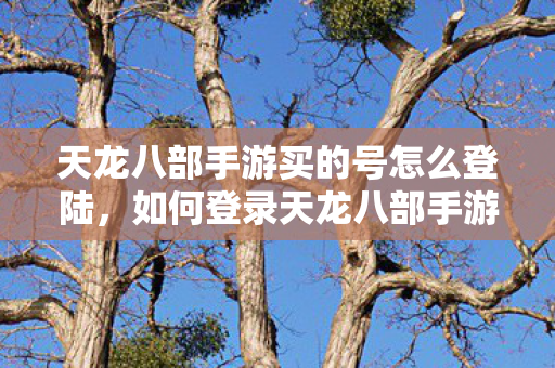 如何登录天龙八部手游购买的账号图片