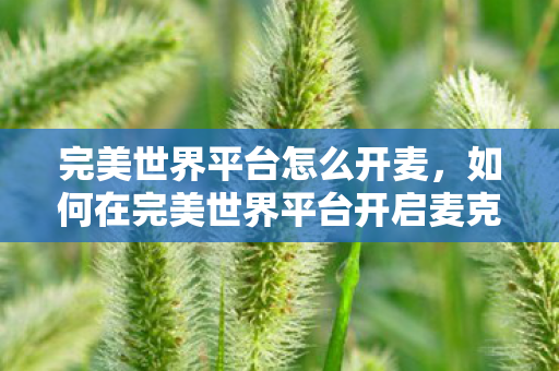 如何在完美世界平台开启麦克风图片