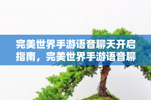完美世界手游语音聊天功能使用指南图片