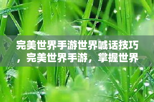 完美世界手游世界喊话技巧图片