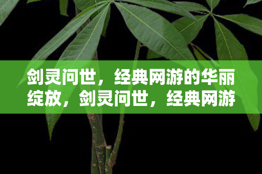 经典网游的华丽绽放图片