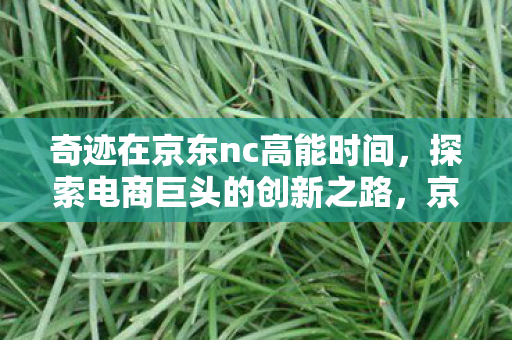 探索电商巨头的创新之路奇迹图片