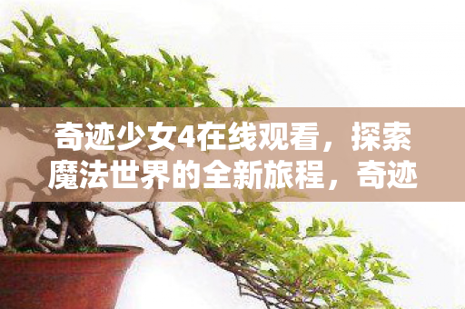 探索魔法世界的全新旅程图片