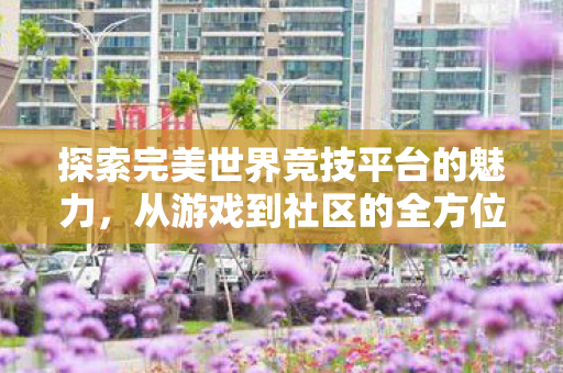 探索完美世界竞技平台的魅力图片