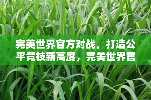 打造公平竞技新高度图片