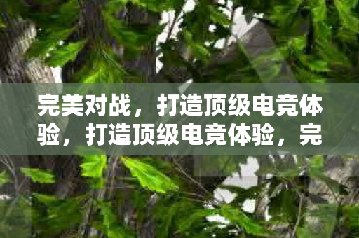 打造顶级电竞体验图片