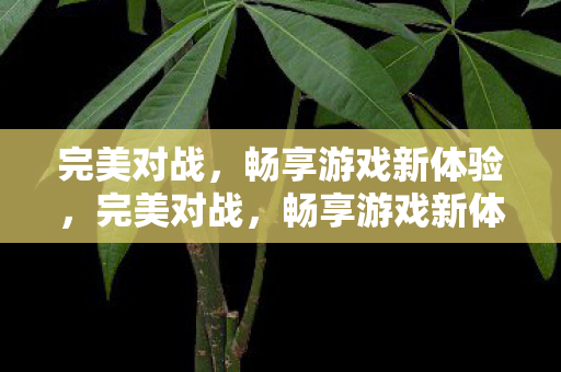 畅享游戏新体验图片