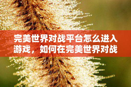 如何在完美世界对战平台中开始游戏图片