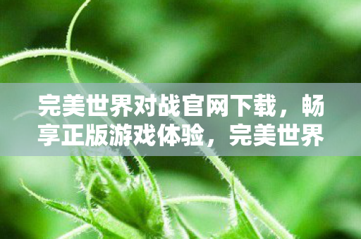 完美世界对战官网下载图片