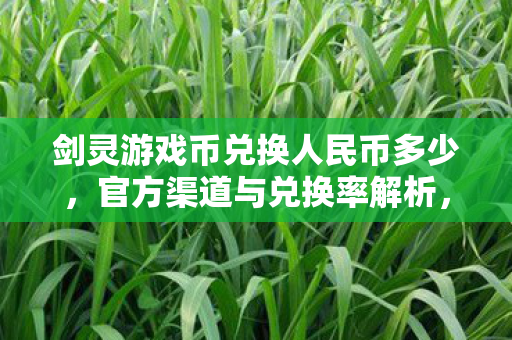 剑灵游戏币兑换人民币的准确比率与渠道解析图片