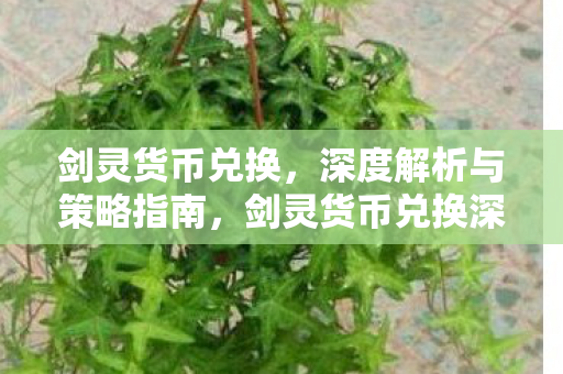 剑灵货币兑换深度解析与策略指南图片