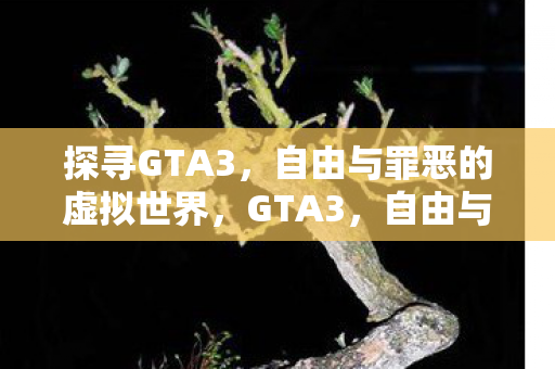 探寻GTA3，自由与罪恶的虚拟世界，GTA3，自由与罪恶的虚拟世界之旅