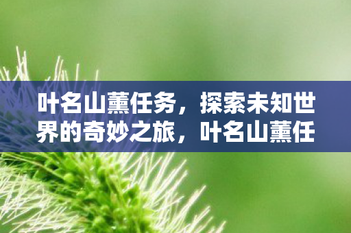 探索未知世界的奇妙之旅图片