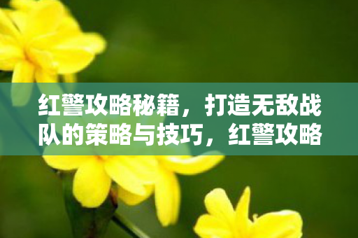 打造无敌战队的策略与技巧图片