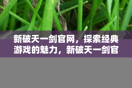探索经典游戏的魅力图片