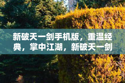 新破天一剑手机版图片