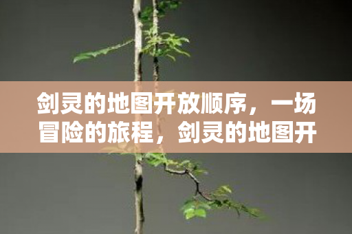 剑灵的地图开放顺序图片