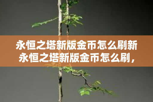 永恒之塔新版金币怎么刷新永恒之塔新版金币怎么刷图片