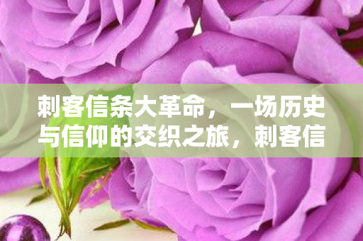 刺客信条大革命，一场历史与信仰的交织之旅，刺客信条大革命，历史与信仰的交织之旅