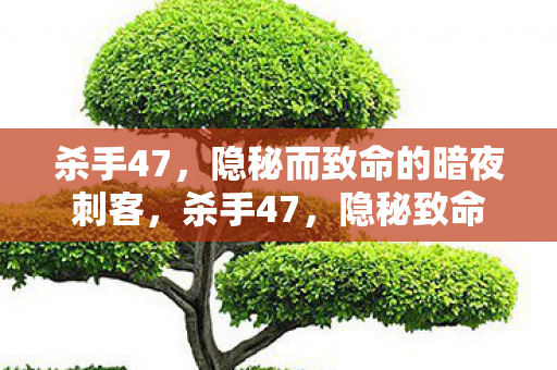 杀手47,隐秘而致命的暗夜刺客,杀手47,隐秘致命的暗夜刺客 杀手47,隐秘而致命的暗夜刺客,杀手47,隐秘致命的暗夜刺客