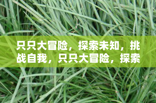 只只大冒险，探索未知，挑战自我，只只大冒险，探索未知，挑战自我