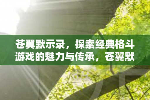 苍翼默示录,探索经典格斗游戏的魅力与传承,苍翼默示录,经典格斗游戏的魅力与传承探索 苍翼默示录,探索经典格斗游戏的魅力与传承,苍翼默示录,经典格斗游戏的魅力与传承探索