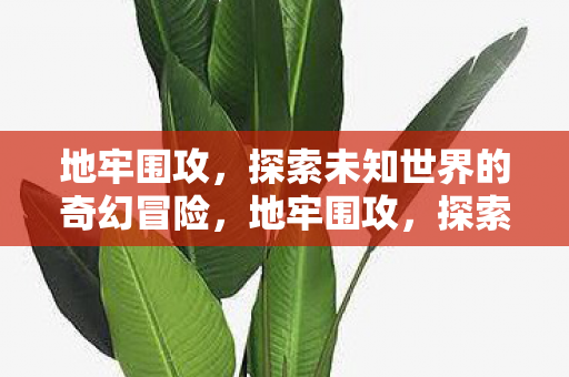 地牢围攻，探索未知世界的奇幻冒险，地牢围攻，探索未知世界的奇幻冒险之旅