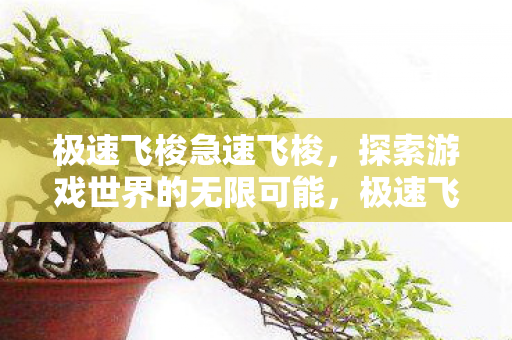 极速飞梭急速飞梭,探索游戏世界的无限可能,极速飞梭,探索游戏世界的无限可能 极速飞梭急速飞梭,探索游戏世界的无限可能,极速飞梭,探索游戏世界的无限可能