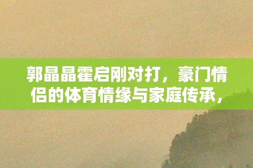 豪门情侣的体育情缘与家庭传承图片