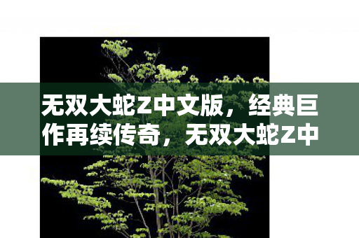 无双大蛇Z中文版图片