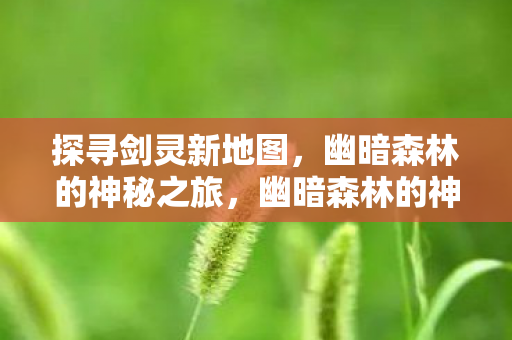幽暗森林的神秘之旅图片