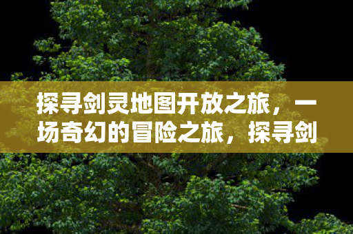 探寻剑灵地图开放之旅图片