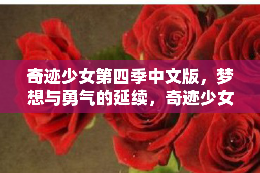 奇迹少女第四季中文版图片