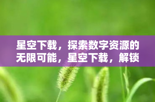 探索数字资源的无限可能图片