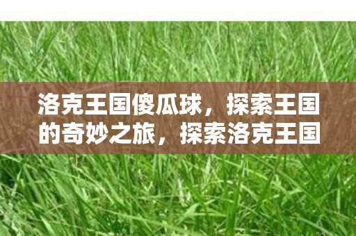 傻瓜球的奇妙冒险之旅图片