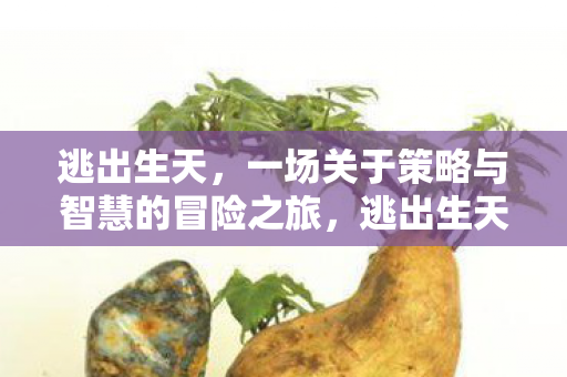 逃出生天,一场关于策略与智慧的冒险之旅,逃出生天,策略与智慧的终极冒险 逃出生天,一场关于策略与智慧的冒险之旅,逃出生天,策略与智慧的终极冒险