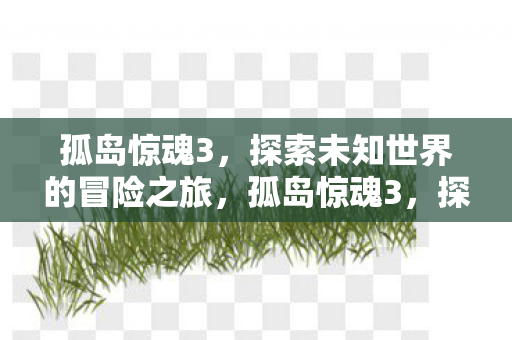 孤岛惊魂3,探索未知世界的冒险之旅,孤岛惊魂3,探索未知世界的惊险冒险之旅 孤岛惊魂3,探索未知世界的冒险之旅,孤岛惊魂3,探索未知世界的惊险冒险之旅